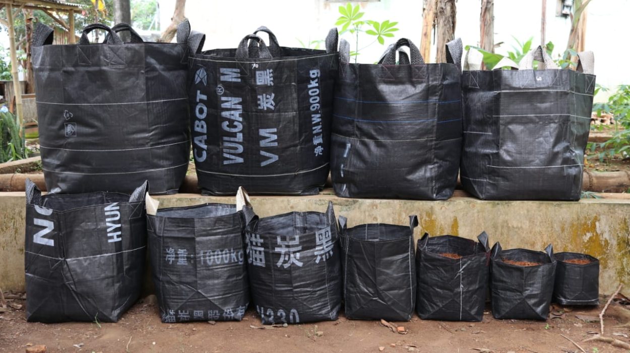 Mengenal Lebih Dekat Apa Itu Planter Bag Dan Jenis Jenisnya